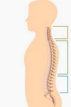 luka osteochondrosis bahagian -bahagian yang berlainan dari tulang belakang